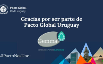 Gemma es una de las empresas participantes de Pacto Global, la iniciativa de sostenibilidad empresarial más grande del mundo.
