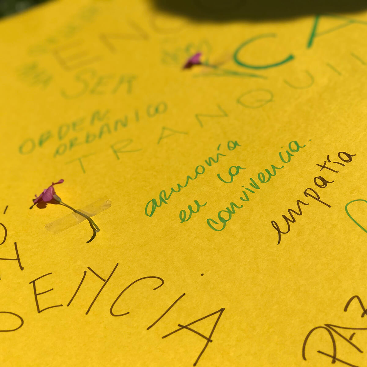 IMG_4365 copia (1)