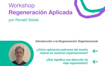 Workshop Regeneración Aplicada por Ronald Sistek
