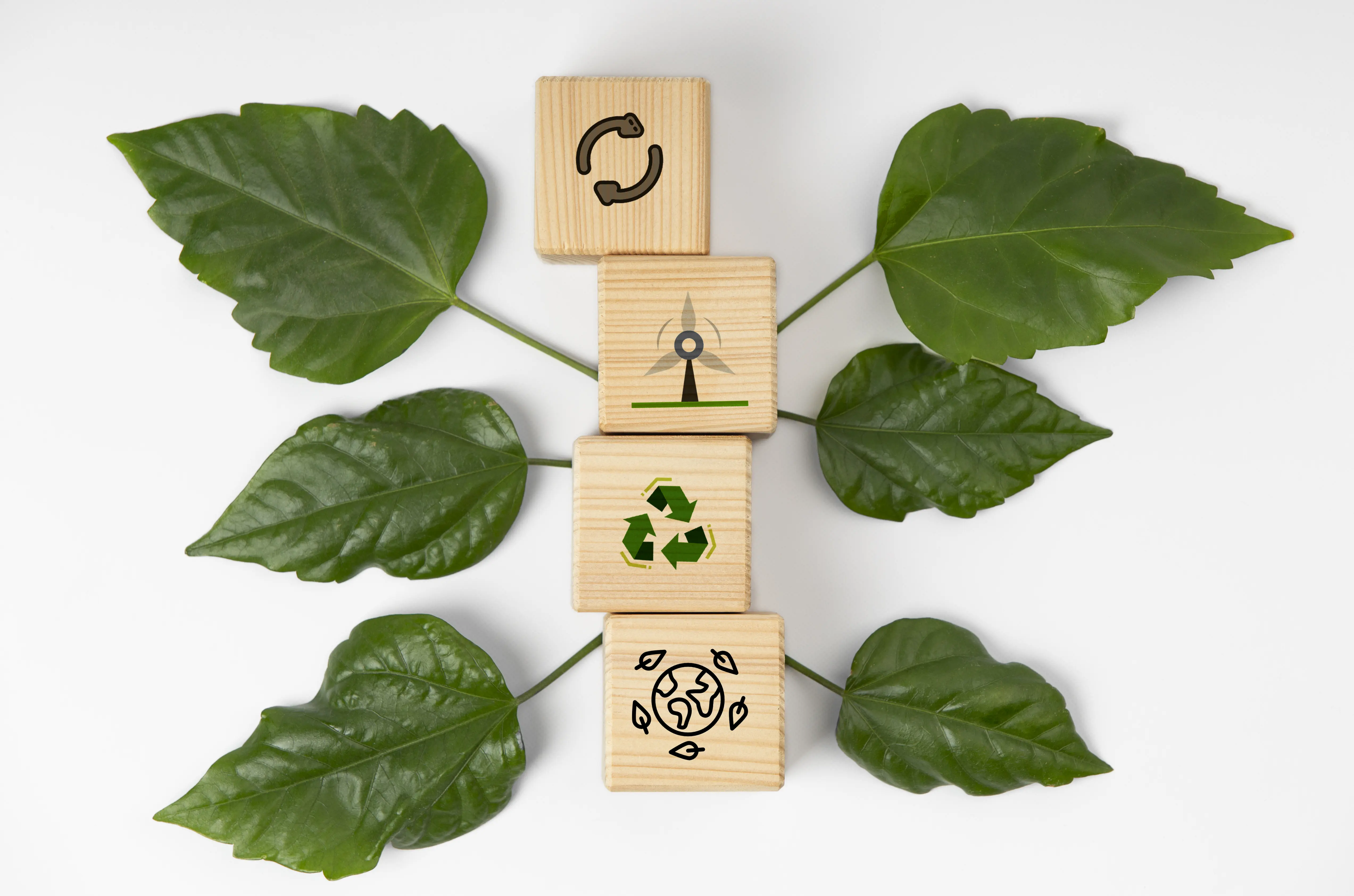 sustainable-development-goals-still-life