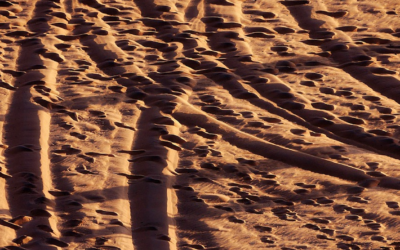 Todos los caminos nos llevan a la comunicación