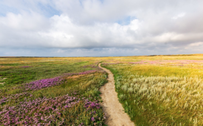 El compromiso de las compañías de seguros en la lucha contra el cambio climático