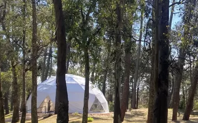 Espacio de diálogo y experiencia en la naturaleza para conectar y compartir sobre Derechos Humanos