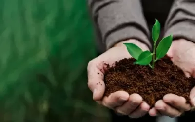 Derechos Humanos y Empresas: Un pilar para el desarrollo sostenible