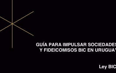 Guía para impulsar sociedades y fideicomisos BIC en Uruguay