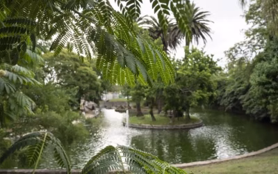 Taller: Regeneración en la naturaleza