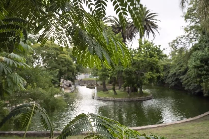 20231219-dicimouyit0074