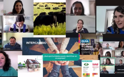 Nuevo artículo: Finanzas sostenibles