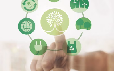 Los Seguros Sostenibles